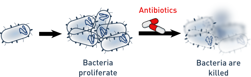 Superbug – what antibiotics should be selected?